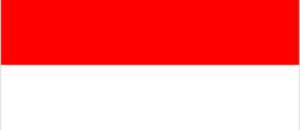WEBSITE FLAGS COMPONENT